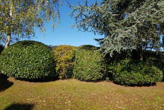 paysagiste carquefou