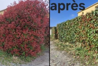 paysagiste carquefou