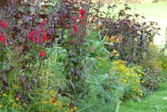 paysagiste carquefou