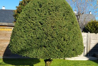 paysagiste carquefou