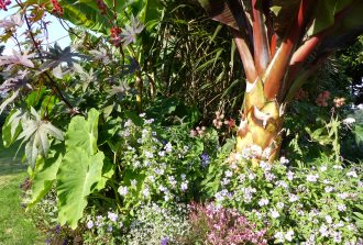 paysagiste carquefou