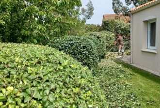 paysagiste carquefou