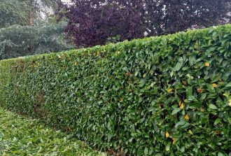 paysagiste carquefou