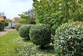 paysagiste carquefou