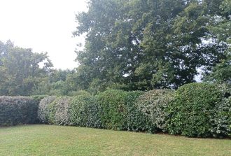 paysagiste carquefou