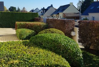 paysagiste carquefou