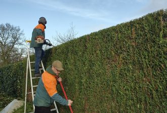 Blanloeil Environnement Allées de jardin Entretien de vos espaces Jardinier Paysagiste Terrasses