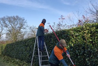 Blanloeil Environnement Allées de jardin Entretien de vos espaces Jardinier Paysagiste Terrasses
