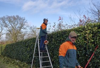 Blanloeil Environnement Allées de jardin Entretien de vos espaces Jardinier Paysagiste Terrasses