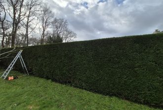 paysagiste carquefou