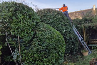 paysagiste carquefou