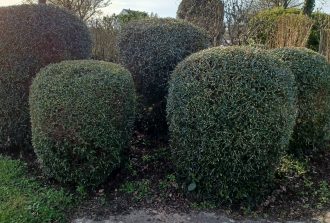 paysagiste carquefou