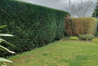 paysagiste carquefou