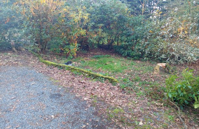 Langlais Maçonnerie Dalle de béton Fondation maison Maçon Murs Pose d'enduit Terrasse