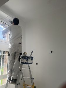 artisan peintre carquefou