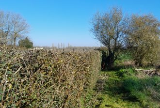 paysagiste saint mars du desert