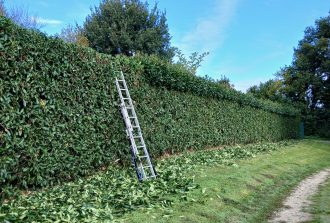 paysagiste saint mars du desert