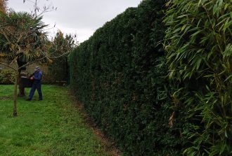 paysagiste saint mars du desert