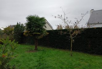 paysagiste saint mars du desert