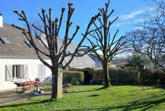 paysagiste saint mars du desert