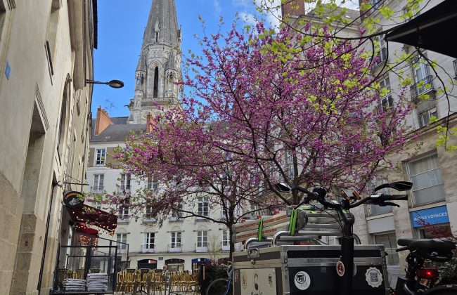 Trouvez de bons artisans à Nantes et alentours