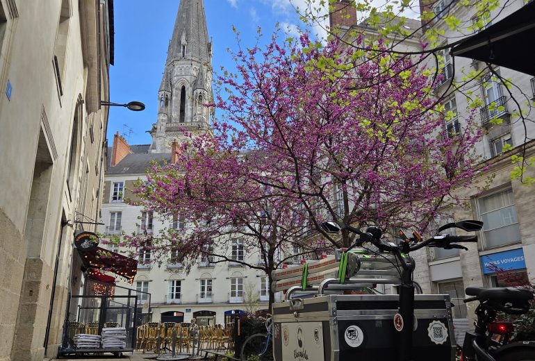 [ Electricien à Vélo Cargo – NANTES !!! ] Électricien