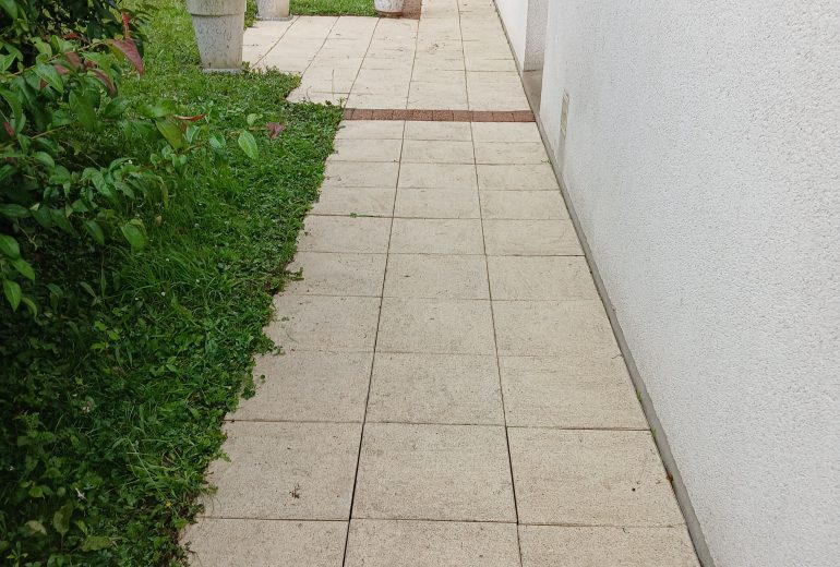 Remise en état d'un dallage Jardinier Paysagiste
