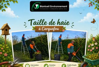 Blanloeil Environnement Allées de jardin Entretien de vos espaces Jardinier Paysagiste Terrasses