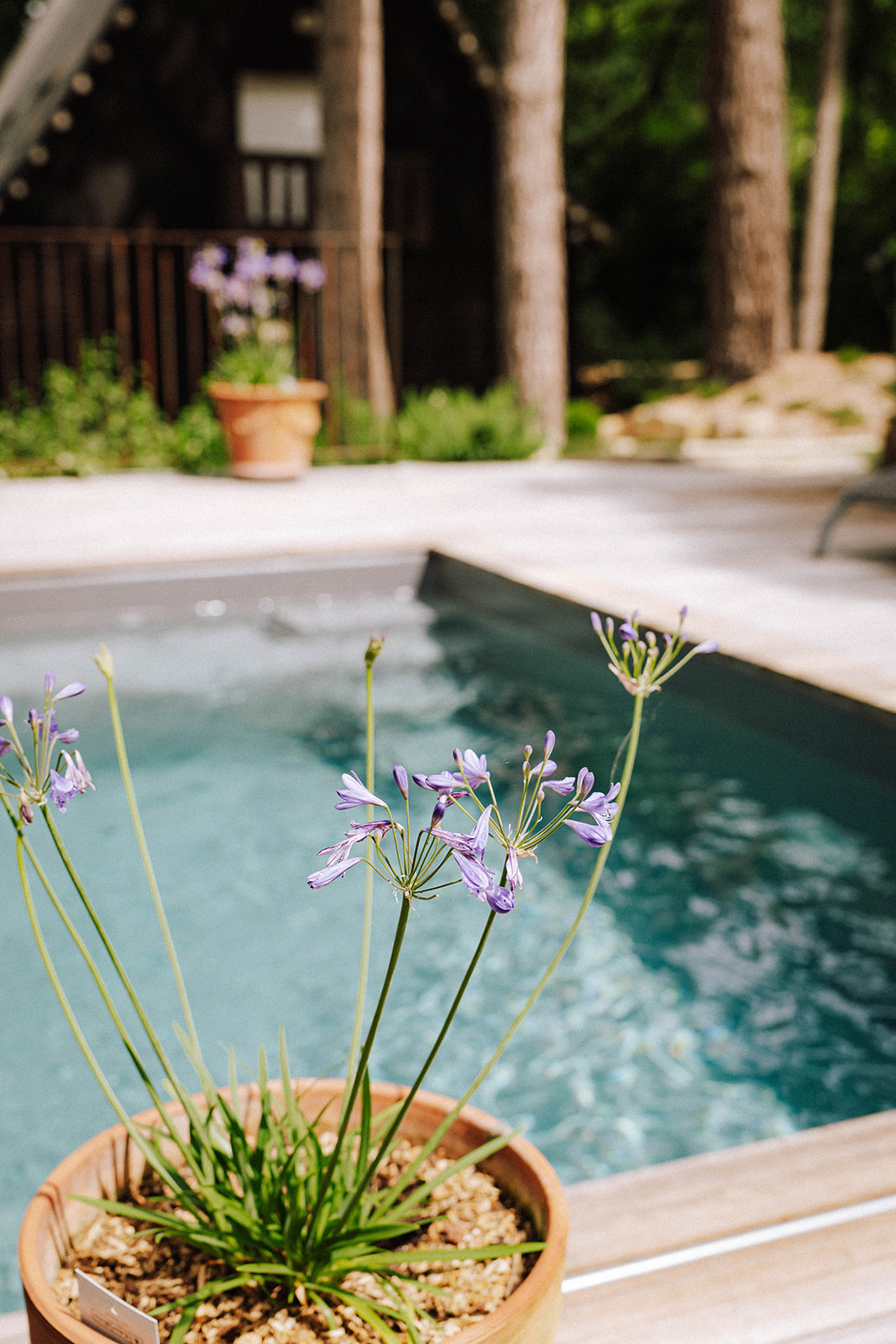 mini piscine nantes