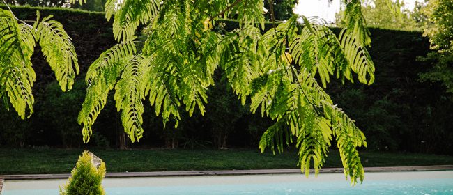 Pisciniste nantes Paysages des deux rivières - Nantes
